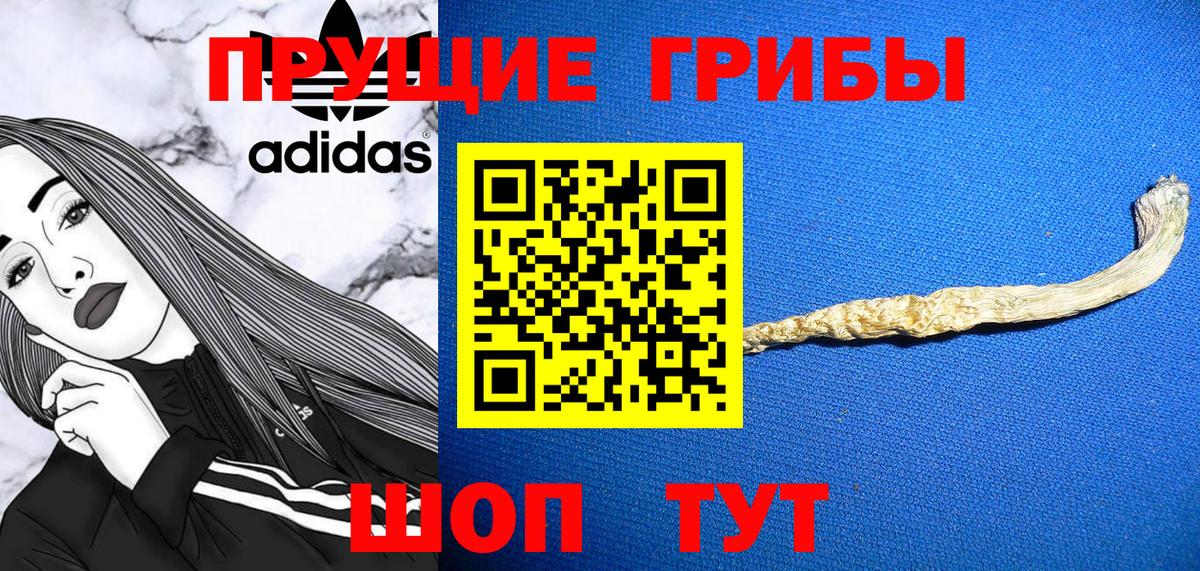 Псилоцибиновые грибы Psilocybine cubensis  Вход с VPN  Верхняя Пышма 